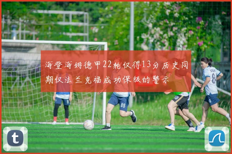 海登海姆德甲22轮仅得13分历史同期仅法兰克福成功保级的警示