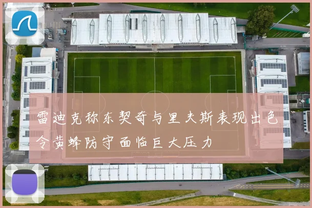 雷迪克称东契奇与里夫斯表现出色令黄蜂防守面临巨大压力