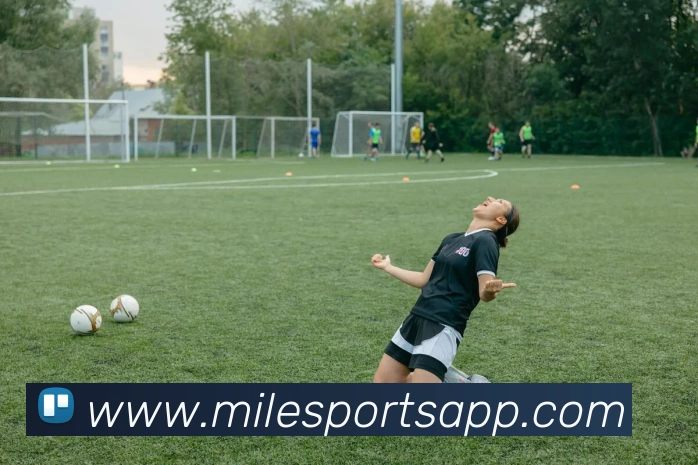 米乐体育APP 封面图